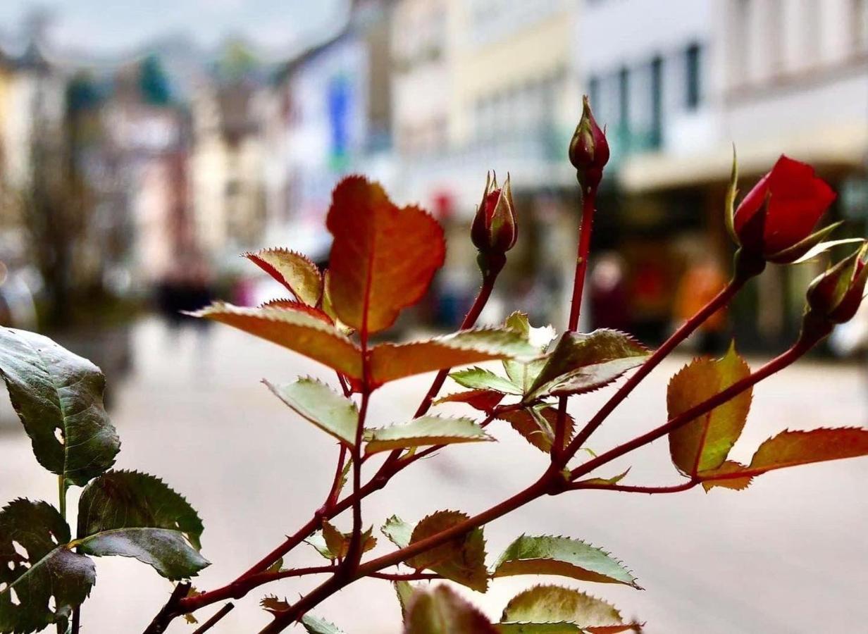 Das-Lagerhaus-Kleine-Oase Zweibrücken Exterior foto